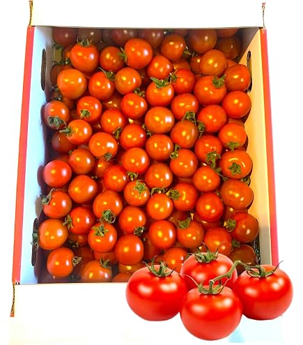 Amazon.co.jp: トマト 大雲仙トマト 特ちゃん 約1kg 8～16玉 長崎県産