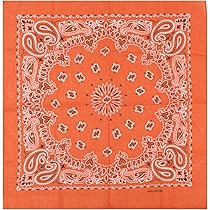 81fBsTYrgfL._AC_UL210_SR210,