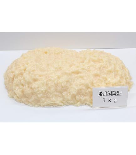 Amazon.co.jp: 脂肪サンプル 脂肪模型 食品サンプル 実物重量