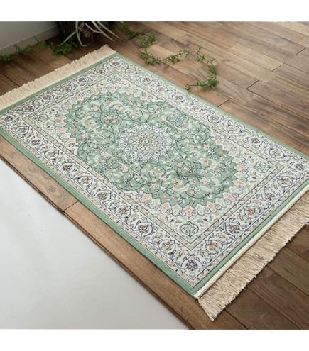 Amazon | ゴブラン織り ラグ カーペットパレス 200x250cm カラー