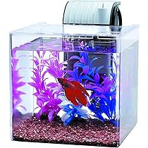 81fIiRB97sL._AC_UL210_SR210,