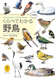 ヤマケイ文庫 くらべてわかる野鳥　文庫版