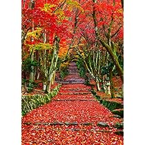 水墨絵画【赤もみじ】 水墨画技法で描かれた紅葉枝 の Stock ベクター | Adobe Stock