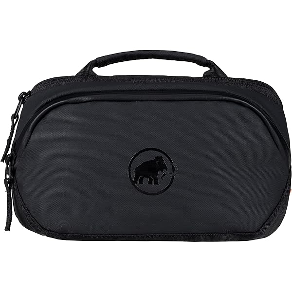 マムート MAMMUT SEON 2-WAY Waistpack 4L ブラック MAMMUT（マムート） セオン ツーウェイ ウエストパック MAMMUT SEON 2