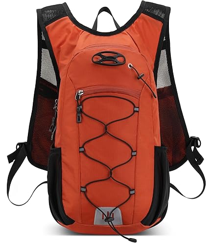 Amazon.co.jp: Dakine ユース ヘリプロ バックパック 18L - ブラック