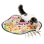 猫壱 キャッチ・ミー・イフ・ユー・キャン2 猫用電動おもちゃ