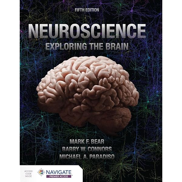 新品　NEUROSCIENCE Exploring the Brain 4th Neuroscience : Exploring the Brain: Bear, Mark