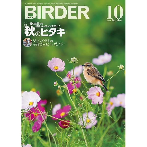 BIRDER（バーダー）2024年8月号 ブンチョウ | BIRDER編集部 |本 | 通販