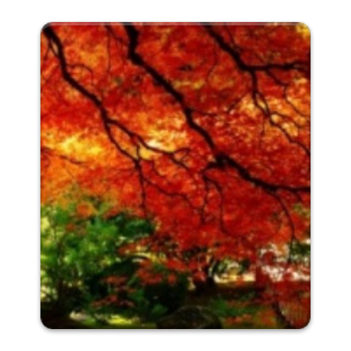 Amazon Co Jp Autumn Hd Wallpaper Android アプリストア