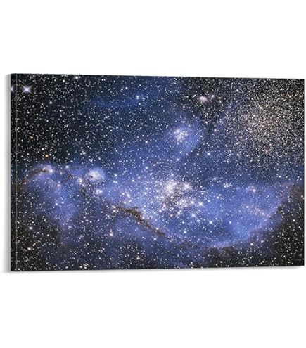夜空　大神　キャンバス　盛り上げ　星空　原画 Amazon.co.jp: Tucocoo 最も美しい銀河の風景壁画 星空