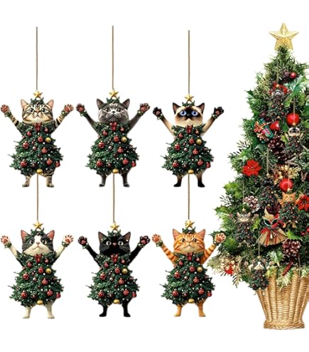 Amazon | ドイツ ローテンブルク ケーテウォルファルト Kathe