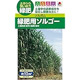 タキイ種苗 ソルガム（緑肥用） 緑肥用ソルゴー