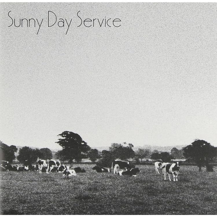 Amazon.co.jp: MUGEN - サニーデイ・サービス: ミュージック