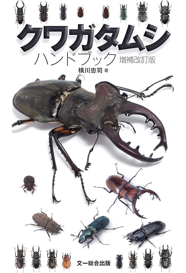 Amazon.co.jp: 日本のクワガタムシ・カブトムシ観察図鑑: 日本に棲息