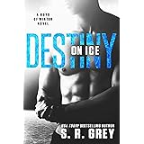 Destiny on Ice (Boys of Winter Book 1)