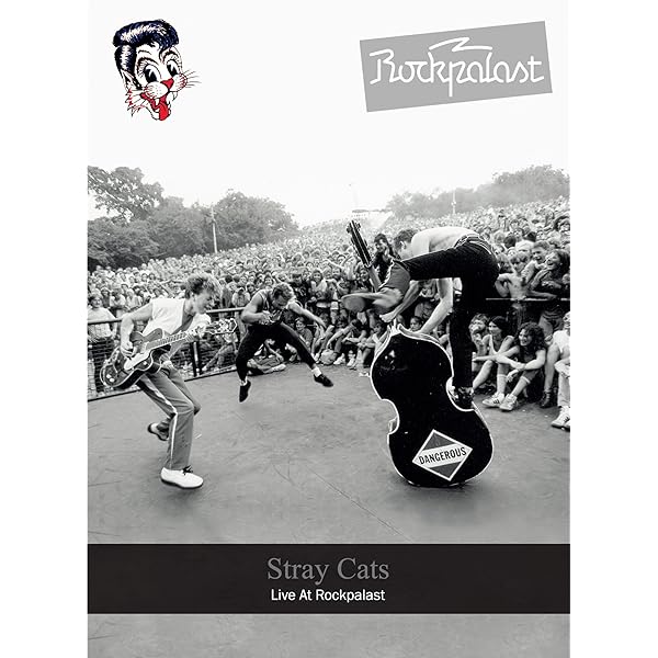 Amazon.co.jp: ライヴ・アット・モントルー1981【日本語字幕付