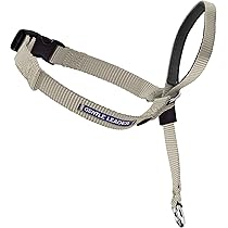 Amazon | PARACORD LEAD パラコードカフェリード（フラワー） (B