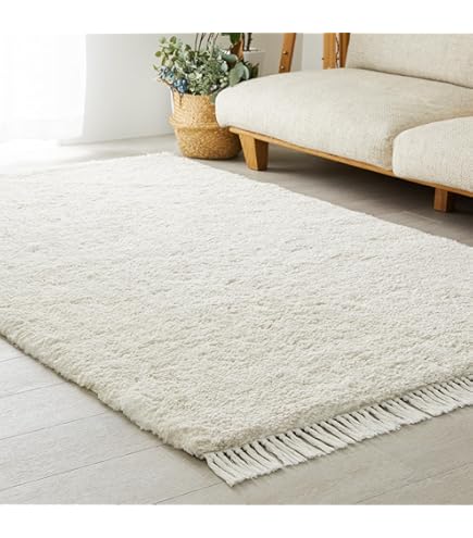 Amazon｜SAFAVIEH (サファビア) Hudson Shag Collection (ハドソン