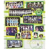 Hello!Project COUNTDOWN PARTY 2014 ～ GOOD BYE & HELLO！～ [Blu-ray]