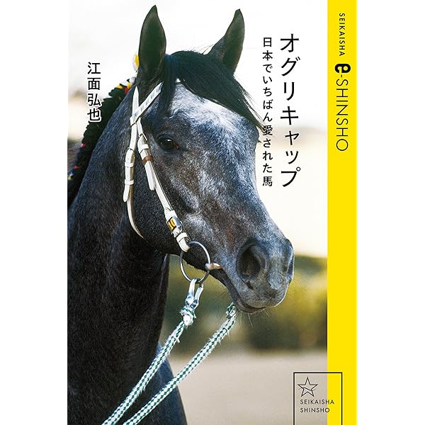 Amazon.co.jp: 銀の夢 オグリキャップに賭けた人々 (講談社文庫) 電子
