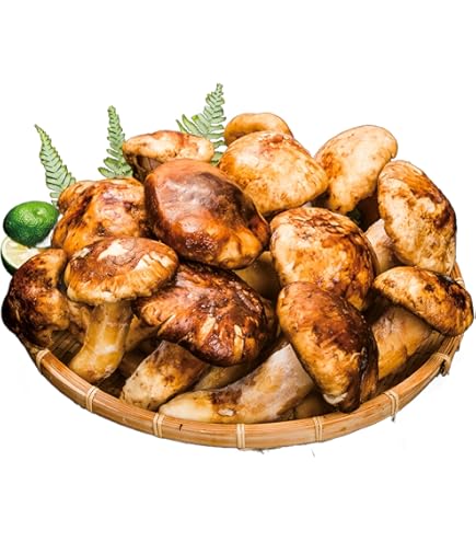 フレッシュ松茸・宝もっちり season-plaza_km-m01