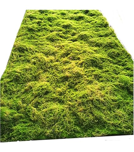 Amazon | 【受注生産品】『人工植栽』 タカショー 人工苔 芝マット 26