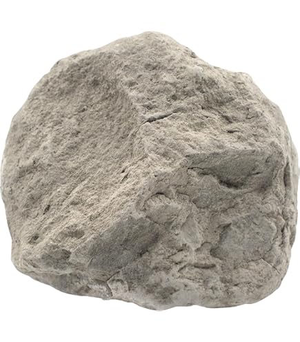 Amazon.co.jp: 生化石灰石灰岩、堆積岩標本6個 - 約1インチ - 地質学者