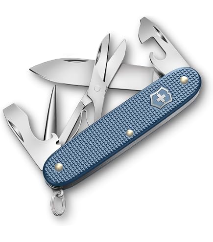 Amazon | VICTORINOX(ビクトリノックス) パイオニアX ALOX シルバー