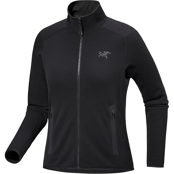 [⭐︎美品]ARC'TERYX プロトンベスト メンズ M 黒 2025年最新】proton vestの人気アイテム - メルカリ