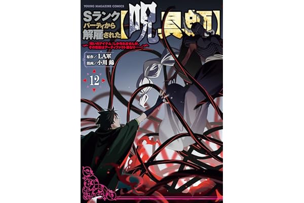 Ｓランクパーティから解雇された【呪具師】～『呪いのアイテム』しか作れませんが、その性能はアーティファクト級なり……！～（１２） (ヤンマガＷｅｂ)