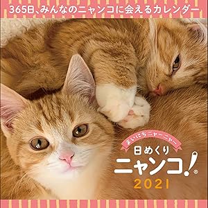 日めくりニャンコ!2021年(卓上日めくりカレンダー猫版)