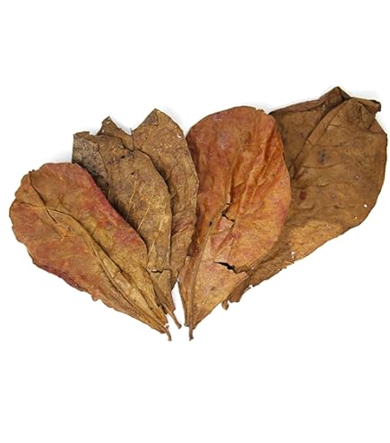 Amazon | マジックリーフ モモタマナ 水質改善 ドクターリーフ ベタ