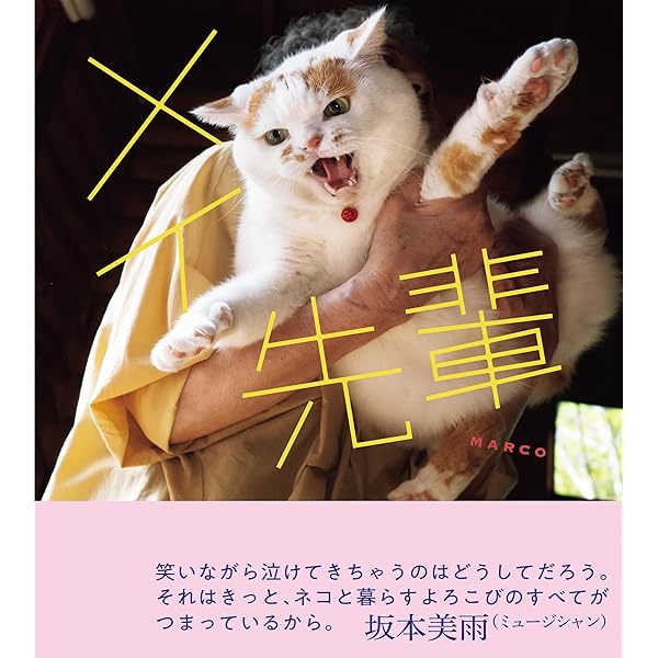 まるねこププと (扶桑社コミックス) | 吉本ユータヌキ | 青年