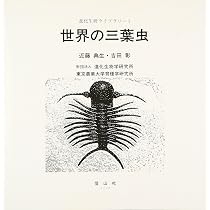 三葉虫 鑑定書付き 中国湖南出土品 箱付き 本物 最終価格 81gWHW4zMzL._AC_UL210_SR210,