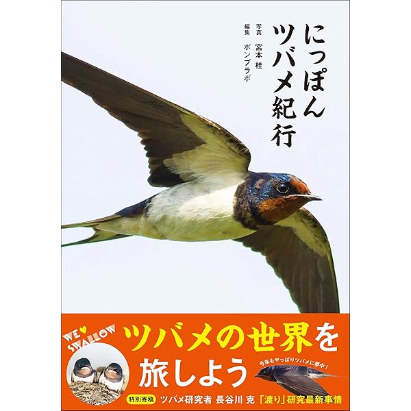 Amazon.co.jp: BIRDER (バーダー) 2023年 04月号 [雑誌] eBook