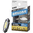 カーメイト(CARMATE) 車用 LED ルームランプ GIGA 自然な白色光 T8×29・T10×31 5000K 110lm 1個入り BW254