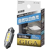 カーメイト(CARMATE) 車用 LED ルームランプ GIGA 自然な白色光 T8×29・T10×31 5000K 110lm 1個入り BW254