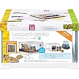 GEX EXOTERRA レプテリア レオパ飼育キットM 爬虫類用ガラスケージ 6点スターターセット ヒーター付 W31.6×D31.6×H19.2cm