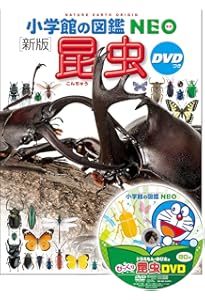 DVD付有 小学館の図鑑NEO 15冊 セット 楽天市場】【収納BOX付・送料無料・条件有】小学館の図鑑NEO［新版