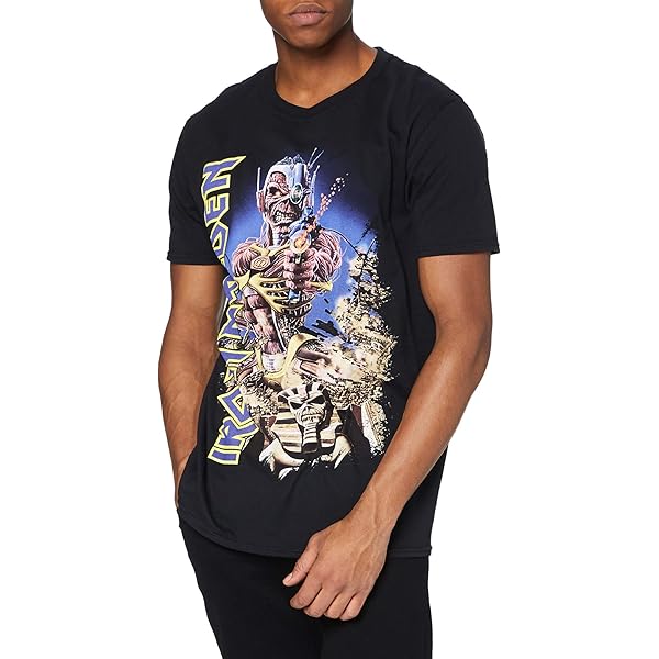 Iron Maiden アイアンメイデン The Trooper Tシャツ M アイアンメイデン IRON MAIDEN ロックTシャツ メタル ヘビメタ