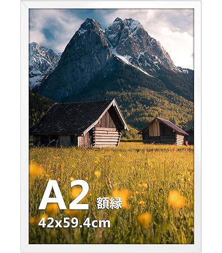 北条司漫画家20周年記念イラストレーションズ 集英社 北条司 北条司漫画家20周年記念イラストレーションズ