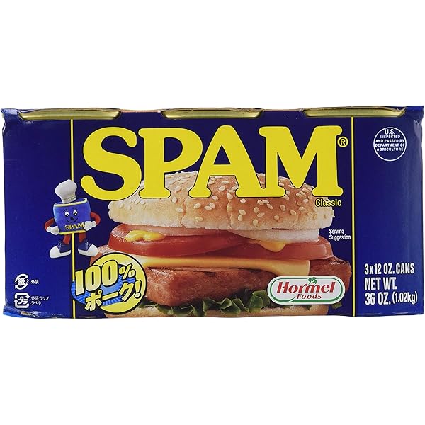 ホーメルレギュラースパム340g×24個(1ケース) スパムSPAM レギュラー 340g×24個 1ケース 沖縄ホーメル ポーク