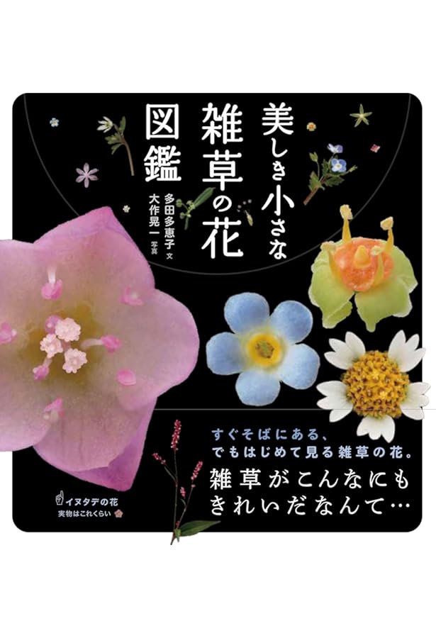 野に咲く花の生態図鑑【春夏篇】 (ちくま文庫) | 多田 多恵子 |本