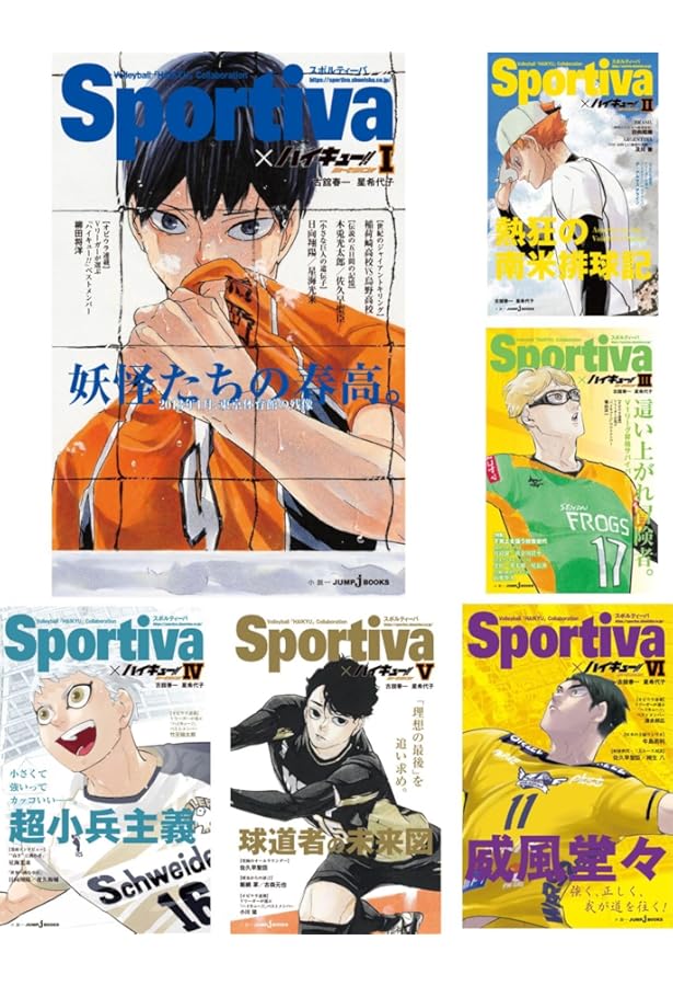 ハイキュー‼︎ ショーセツバン‼︎ 10thクロニクル 入場特典など まとめ売り ハイキュー‼︎ ショーセツバン‼︎ 10thクロニクル 入場特典など まとめ