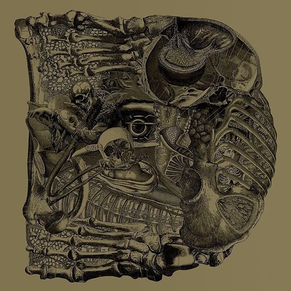 Amazon.co.jp: Attention Please (アテンション・プリーズ): ミュージック