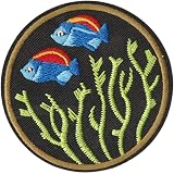 ワッペン アイロンワッペン アップリケ 刺繍 海洋生物 (H.レインボーフィッシュと海草) ND-0423-R01-H-9185-8