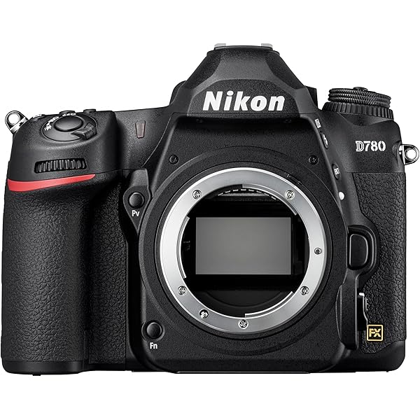 新品級 NIKON D80 元箱付 説明書付 ショット数 726枚 H373 Nikon D80 詳細仕様 （By キンタロウ）