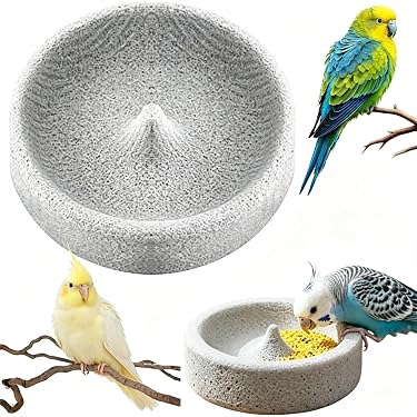 Amazon.co.jp 最新リリース: 鳥用品 の新着ランキングです。