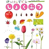 ディズニープリンセスとたのしむ ときめき花ずかん 小池 安比古 本 通販 Amazon