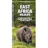 East Africa Wildlife: A Folding Pocket Guide to Familiar Species in Kenya, Tanzania & Uganda (A Pocket Naturalist Guide)